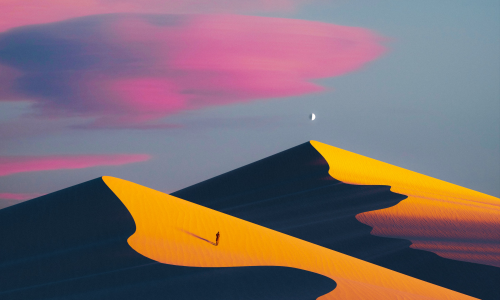wallhaven-kx8kvq.png